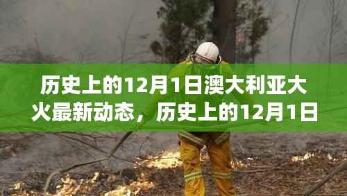 持续关注澳大利亚大火最新动态，历史上的12月1日火势进展报告