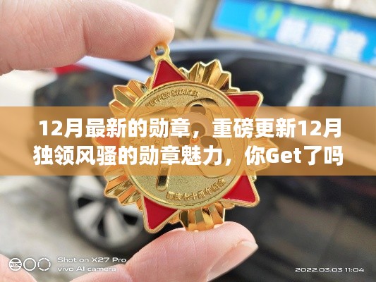 探秘最新勋章魅力,12月独领风骚的勋章,你Get了吗?小红书带你一探究竟!