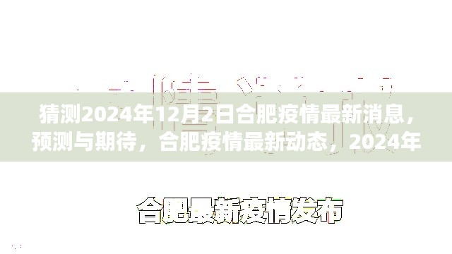 2024年12月2日合肥疫情最新动态深度解读与预测期待