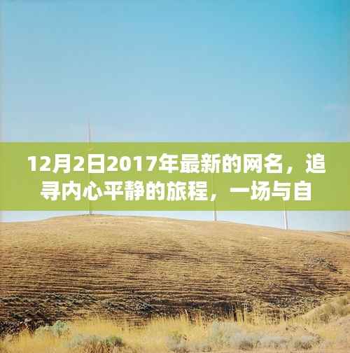 追寻内心平静之旅，最新网名记录与自然美景的浪漫邂逅