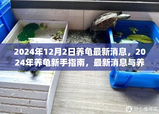 九死一生 第15页