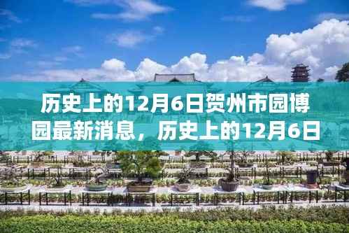 历史上的12月6日贺州市园博园之旅,探寻自然美景,重塑心灵宁静的最新消息
