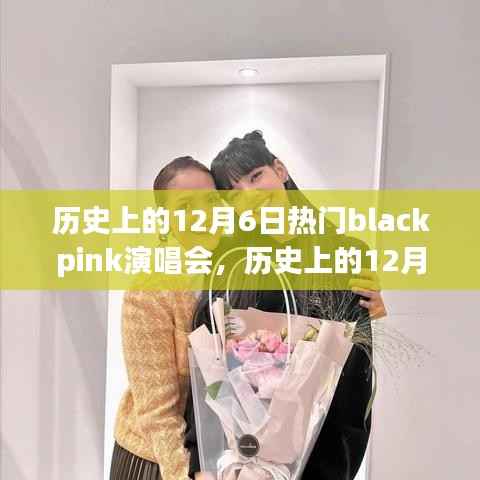 历史上的12月6日Blackpink演唱会,影响力与争议深度解析