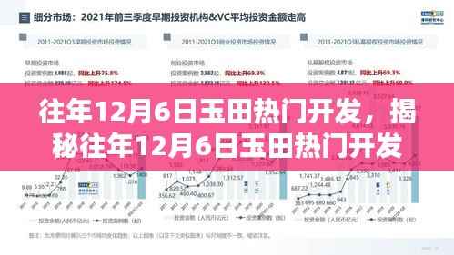 揭秘往年12月6日玉田热门开发深度解析三大要点助力成功开发之路
