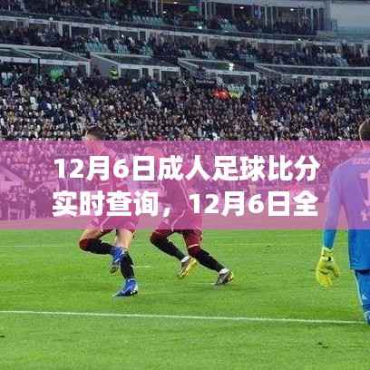 12月6日全球足球赛事实时比分查询指南,成人足球比分一网打尽
