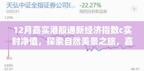 嘉实港股通新经济指数下的自然美景探索与心灵净化时刻(实时净值)