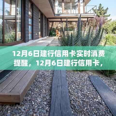 houniaonanfei 第13页