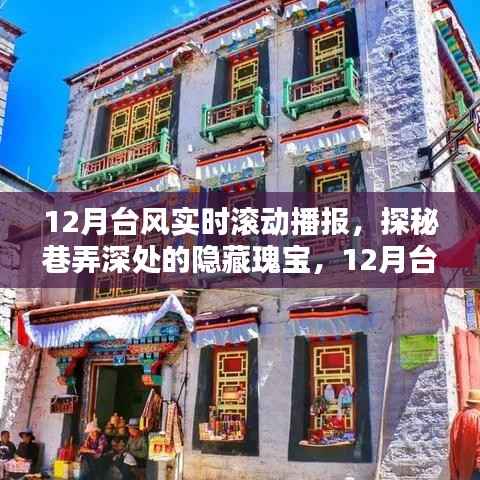 12月台风下的特色小店与巷弄深处的隐藏瑰宝实时滚动播报