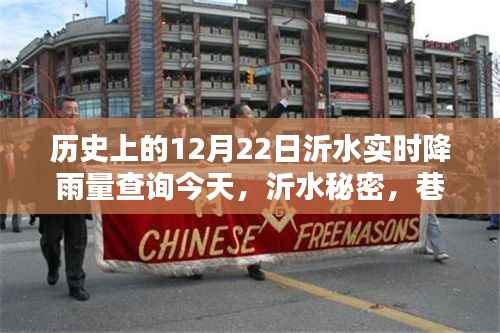 沂水今日实时降雨查询,雨日里的惊喜宝藏与历史深度探索