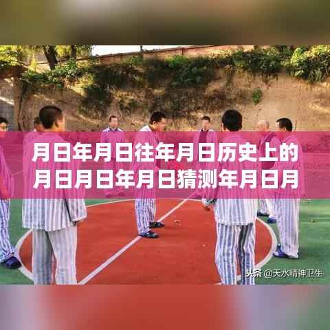 温馨的日期探秘之旅，历史、监控与时光里的日月计算