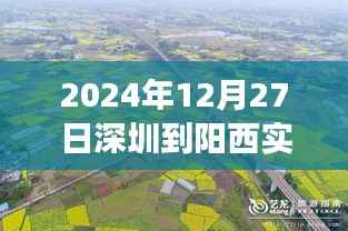 深圳至阳西路况探秘,寻找内心平静的旅程纪实