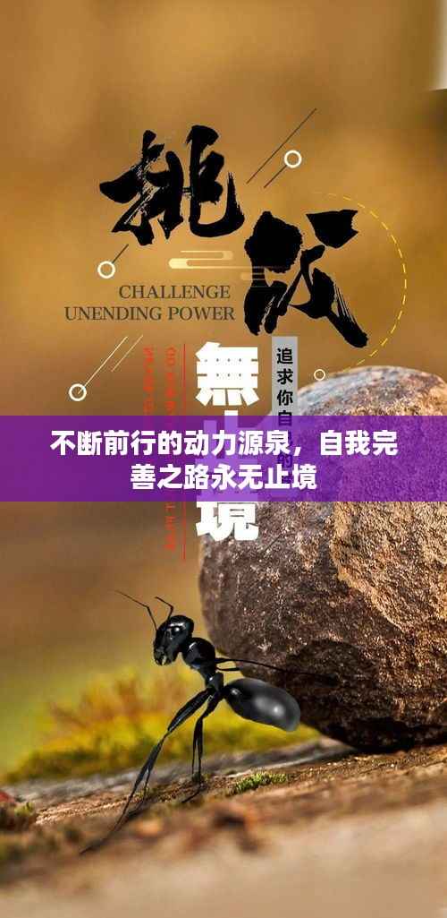 不断前行的动力源泉，自我完善之路永无止境