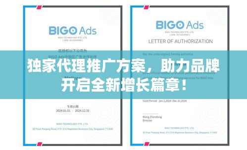独家代理推广方案，助力品牌开启全新增长篇章！
