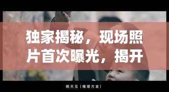 独家揭秘,现场照片首次曝光,揭开神秘面纱的真相