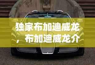 独家布加迪威龙,布加迪威龙介绍