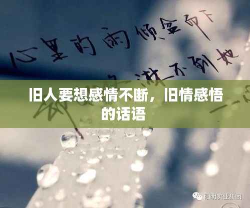 旧人要想感情不断，旧情感悟的话语 