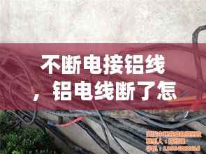 浅笑轻吟梦一曲 第11页