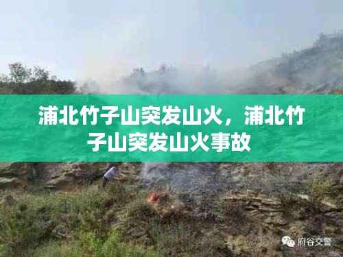 浦北竹子山突发山火,浦北竹子山突发山火事故