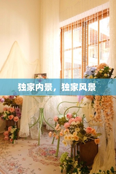 独家内景,独家风景