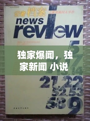 独家爆闻,独家新闻 小说