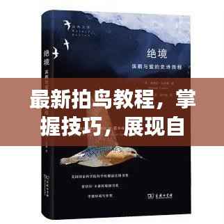 最新拍鸟教程，掌握技巧，展现自然之美惊艳瞬间