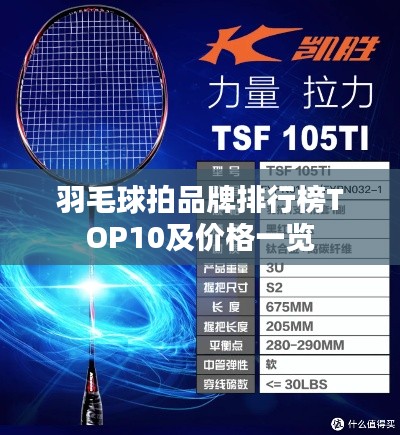 羽毛球拍品牌排行榜TOP10及价格一览