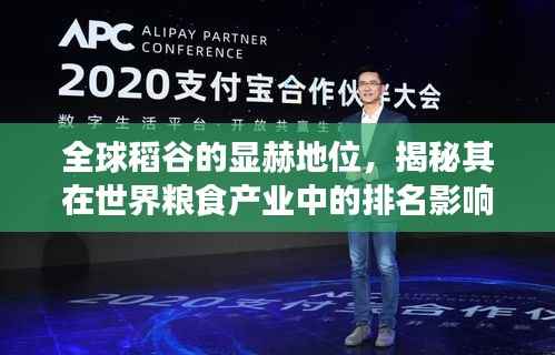 全球稻谷的显赫地位,揭秘其在世界粮食产业中的排名影响力