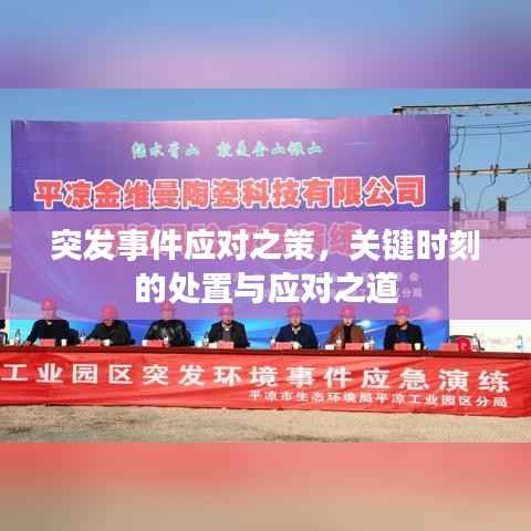 突发事件应对之策,关键时刻的处置与应对之道