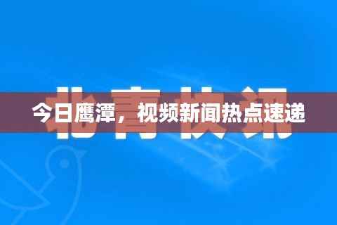 今日鹰潭,视频新闻热点速递