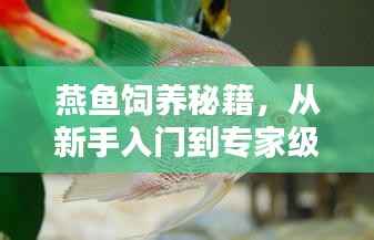 juanniaosigui 第10页