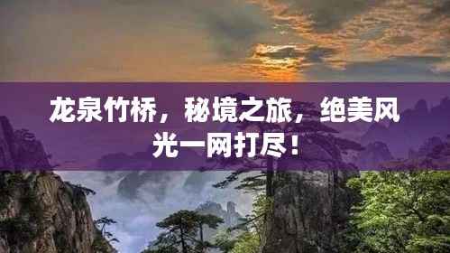 龙泉竹桥,秘境之旅,绝美风光一网打尽!