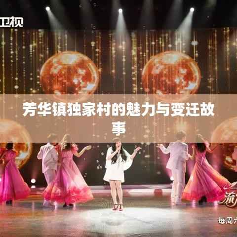 芳华镇独家村的魅力与变迁故事