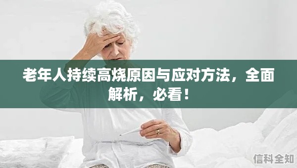 老年人持续高烧原因与应对方法,全面解析,必看!