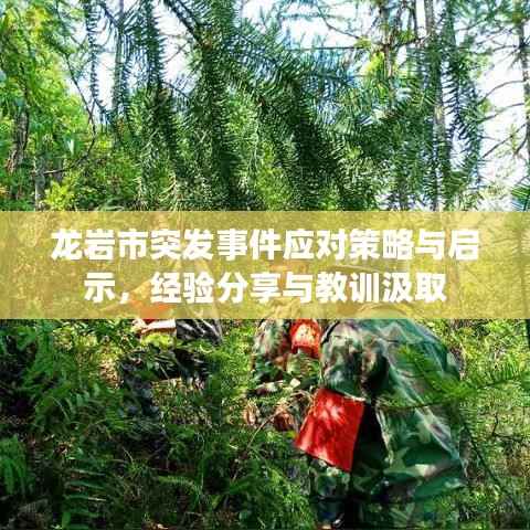 龙岩市突发事件应对策略与启示,经验分享与教训汲取