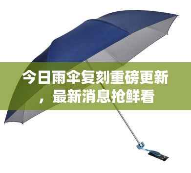 今日雨伞复刻重磅更新,最新消息抢鲜看