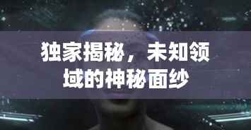 独家揭秘,未知领域的神秘面纱