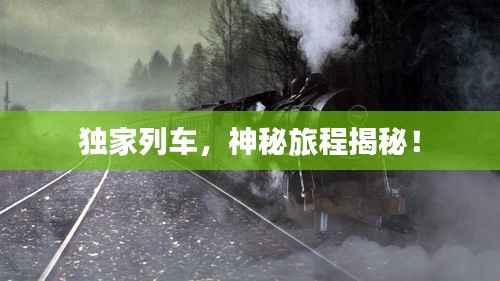 独家列车,神秘旅程揭秘!