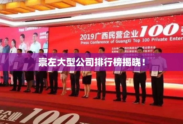 崇左大型公司排行榜揭晓!