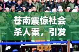 苍南震惊社会杀人案,引发各界深思与关注