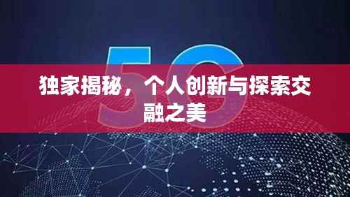 独家揭秘,个人创新与探索交融之美