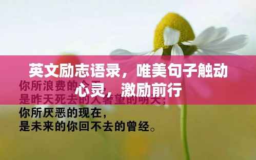 目不转睛 第6页