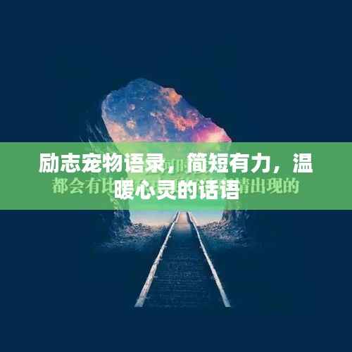 励志宠物语录,简短有力,温暖心灵的话语