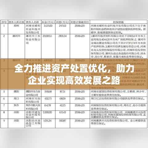 全力推进资产处置优化,助力企业实现高效发展之路
