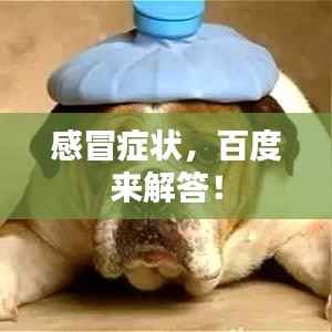 感冒症状，百度来解答！