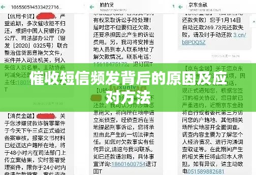 催收短信频发背后的原因及应对方法