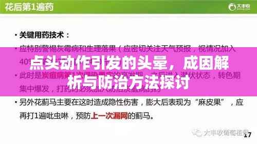 点头动作引发的头晕,成因解析与防治方法探讨