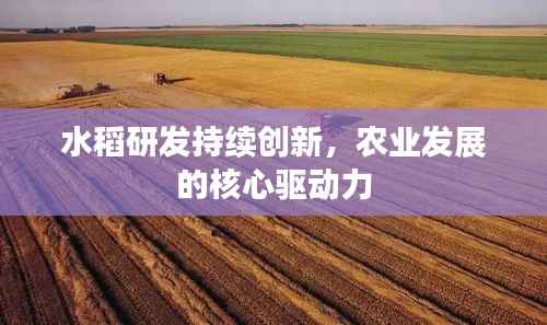 水稻研发持续创新,农业发展的核心驱动力