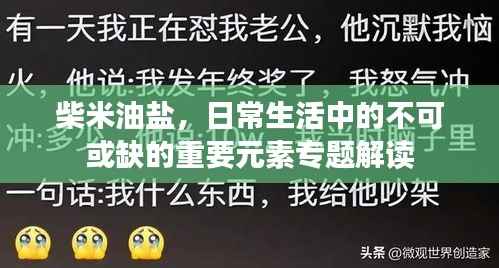 柴米油盐，日常生活中的不可或缺的重要元素专题解读