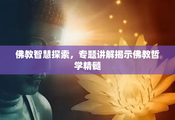 guijirenchen 第6页