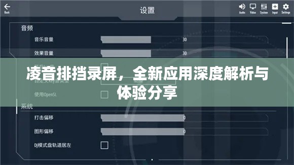 凌音排挡录屏,全新应用深度解析与体验分享